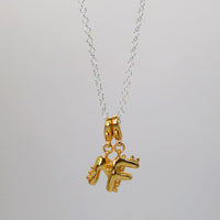 Single Cadena Plata 70cm