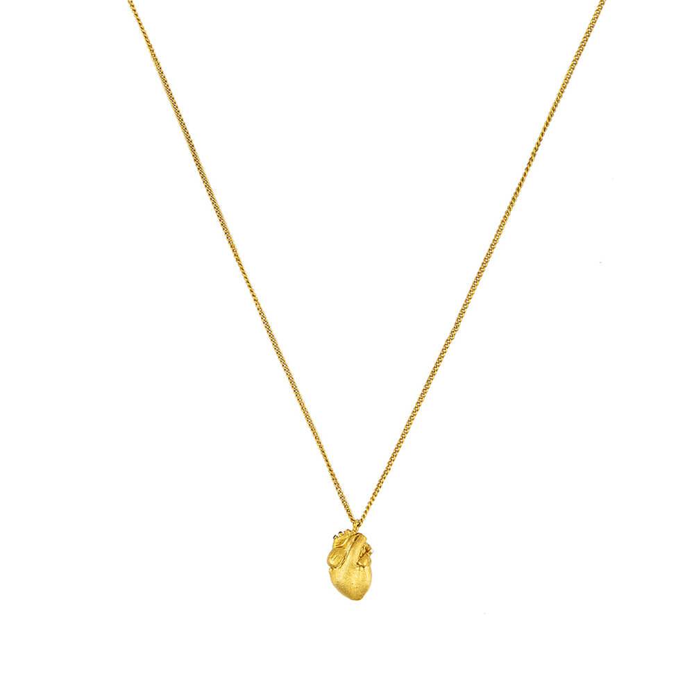 Cadena Anatomik Mini