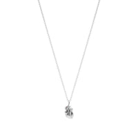 Cadena Anatomik Mini Plata